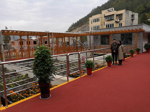 鍥剧墖2.png 鍥剧墖2.png