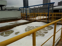 ��ӯ�ᡤ[�й�]�ٷ���վ